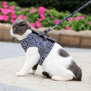 MeowMate – Ausbruchsichere verstellbare Katzengeschirrweste für Outdoor Abenteuer
