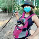 PackPaw – Bequemer Haustier Rucksack mit verstellbaren Trägern und großem Fassungsvermögen