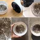 GlowCatch – Elektrische Mückenfalle mit leiser Vakuumabsaugung und UV Licht