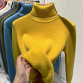 Aria - Langärmeliger Vlies Gefüttert Rollkragenpullover