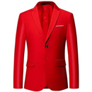 Haris – Schlanke Passform Blazer mit langen Ärmeln und Reverskragen