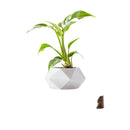 AxisRoot – Moderner geometrischer rotierender Pflanztopf für dynamische Pflanzenpräsentation