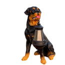 SunTail – Solarbetriebene Hundestatue mit LED Licht für eine bezaubernde Gartendekoration