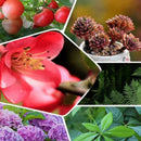 GrowEase - Langsame Freigabe Düngemitteltabletten für gesunde Pflanzen Blumen und Gartenwachstum