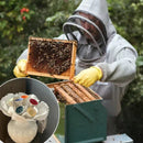 BeeSip - Umweltfreundlicher Trinkbecher für Bienen und Insekten