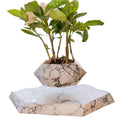 AxisRoot – Moderner geometrischer rotierender Pflanztopf für dynamische Pflanzenpräsentation