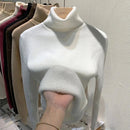 Aria - Langärmeliger Vlies Gefüttert Rollkragenpullover