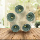 BeeSip - Umweltfreundlicher Trinkbecher für Bienen und Insekten