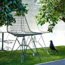 BirdAura – Einzigartige Vogelskulptur zur Heimdekoration mit elegantem Naturdesign