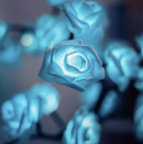 EternalBloom - Rosenbaum Lampe