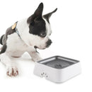 HydraSip – Spritzfreier schwimmender Hundewassernapf für saubere und gesunde Flüssigkeitszufuhr
