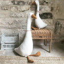 CozyDuck – Enten Kissenspielzeug für gemütliches Kuscheln und verspielte Dekoration