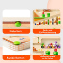 BallPath - Adventure Maze Magnetisches Labyrinth Spiel für Spaß und Geschicklichkeitsübungen