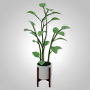 LushLight – Farbwechselnde LED Pflanzenlampe mit Umgebungslicht