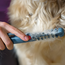 TrimPaw - Sanfter Trimmer für Haustiere für glattes und knotenfreies Fell mit griffigem Handgriff