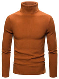Lukas - Warmer Langärmelig Rollkragenpullover Pullover
