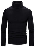Lukas - Warmer Langärmelig Rollkragenpullover Pullover
