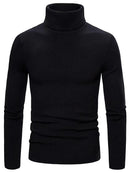 Lukas - Warmer Langärmelig Rollkragenpullover Pullover