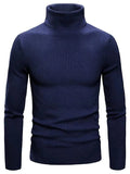 Lukas - Warmer Langärmelig Rollkragenpullover Pullover