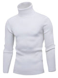 Lukas - Warmer Langärmelig Rollkragenpullover Pullover