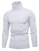 Lukas - Warmer Langärmelig Rollkragenpullover Pullover