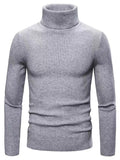 Lukas - Warmer Langärmelig Rollkragenpullover Pullover