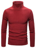 Lukas - Warmer Langärmelig Rollkragenpullover Pullover