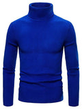 Lukas - Warmer Langärmelig Rollkragenpullover Pullover