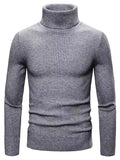 Lukas - Warmer Langärmelig Rollkragenpullover Pullover