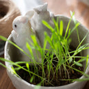 LeafHaven – Kompakter Pflanzkübel mit klarem Design und schmalen Ablagen