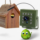 BirdView – WiFi Nestkamera zur Vogelbeobachtung mit HD Auflösung und Nachtsicht