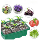 GreenSpace - Kompakt Innenbereich Gewächshaus Mit LED Steuerung