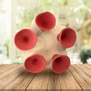 BeeSip - Umweltfreundlicher Trinkbecher für Bienen und Insekten