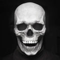 SpookJaw - Bewegliche Kiefer Realistische Vollkopf Schädelmaske für Halloween Party und Cosplay